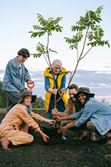 Tree planting for reforestation
